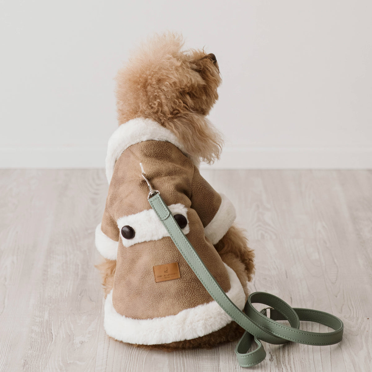 Montoncino Paddington| Stile Ecologico per Barboncini
