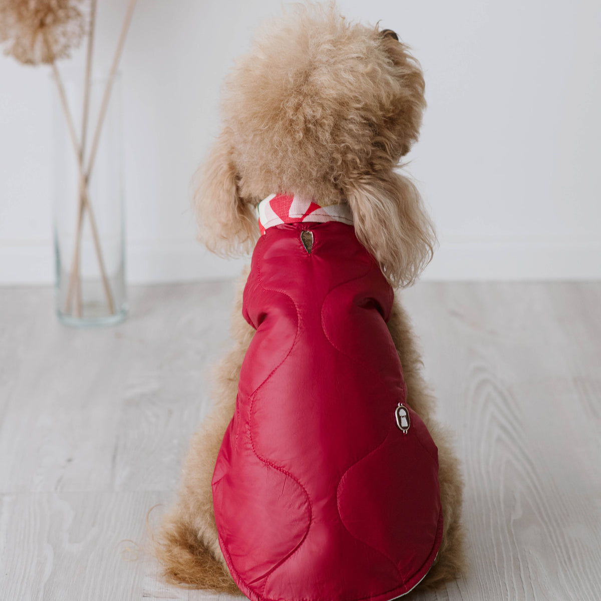 Piumino Scarlet | Eleganza in Rosso per Barboncini