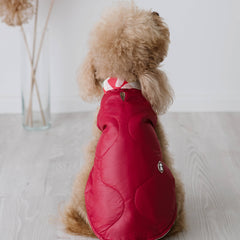 Piumino Scarlet | Eleganza in Rosso per Barboncini