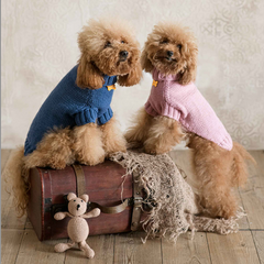 Maglioncino "Dafne" in vari colori - Fatto a Mano in Lana Merino - per cani di piccola taglia