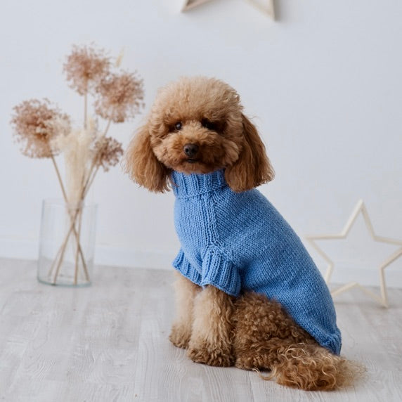 Maglioncino "Dafne" in vari colori - Fatto a Mano in Lana Merino - per cani di piccola taglia