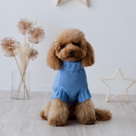 Maglioncino "Dafne" in vari colori - Fatto a Mano in Lana Merino - per cani di piccola taglia