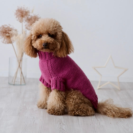 Maglioncino "Dafne" in vari colori - Fatto a Mano in Lana Merino - per cani di piccola taglia