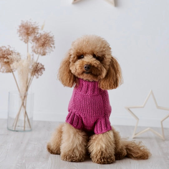 Maglioncino "Dafne" in vari colori - Fatto a Mano in Lana Merino - per cani di piccola taglia