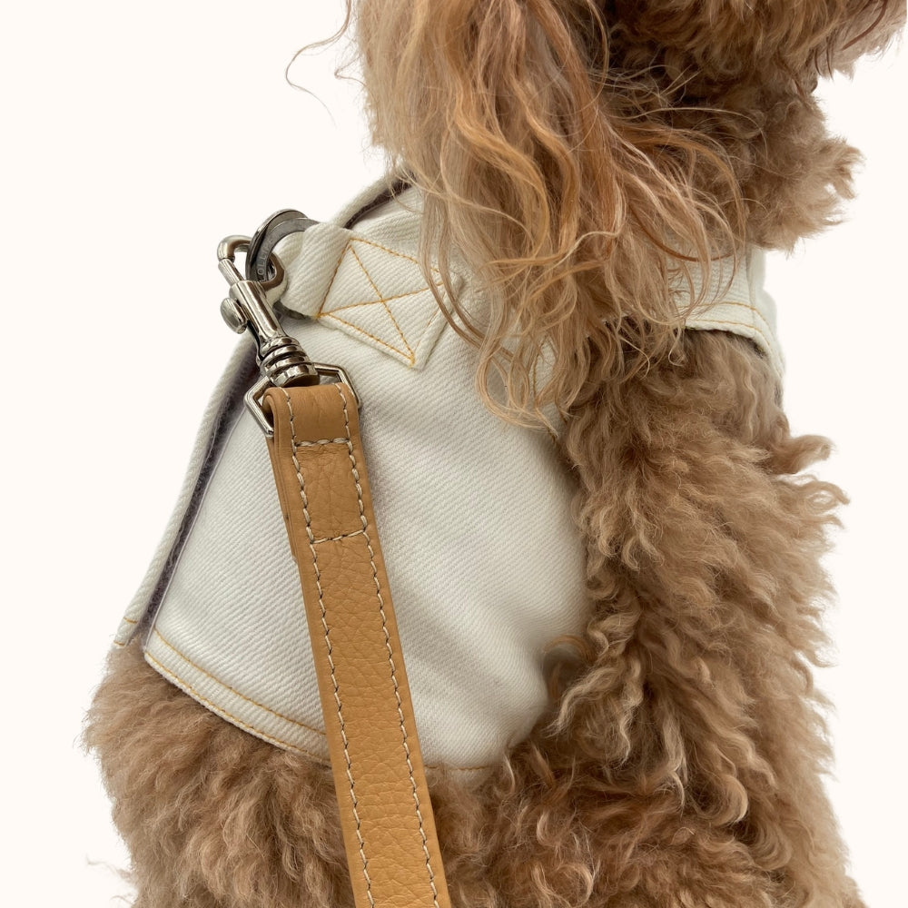 Pettorina Sartoriale in Jeans per Barboncini | Eleganza e Comfort per Cani di Piccola taglia