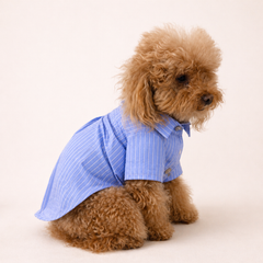 Camicia Ischia | Abbigliamento per Barboncini