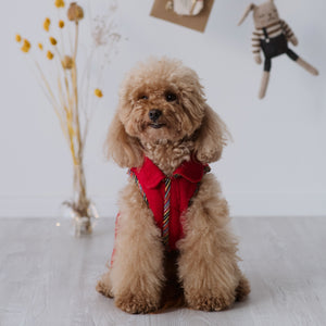 Rainbow Red Coat