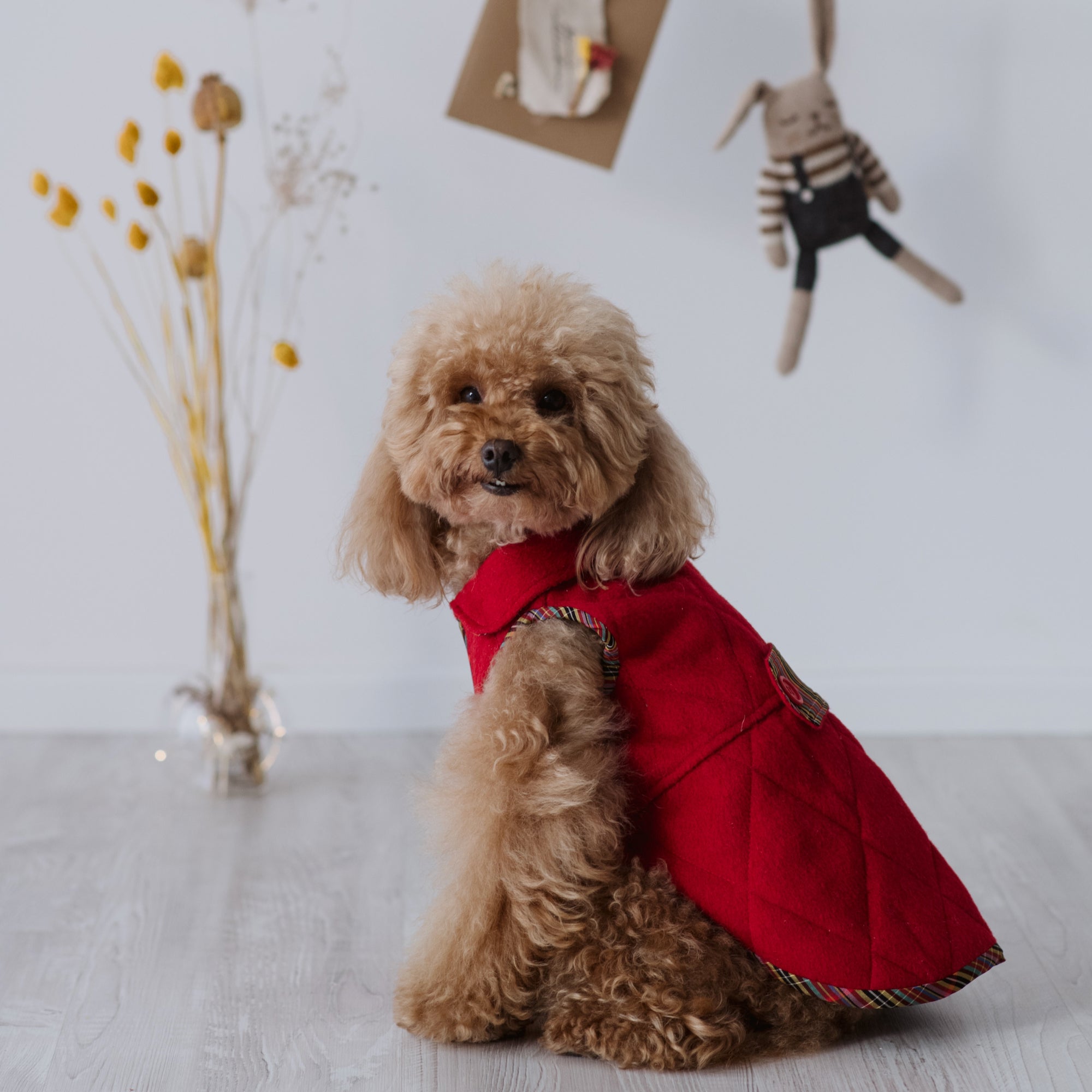Rainbow Red Coat
