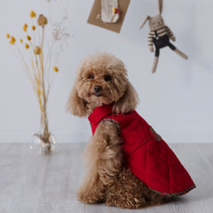 Rainbow Red Coat