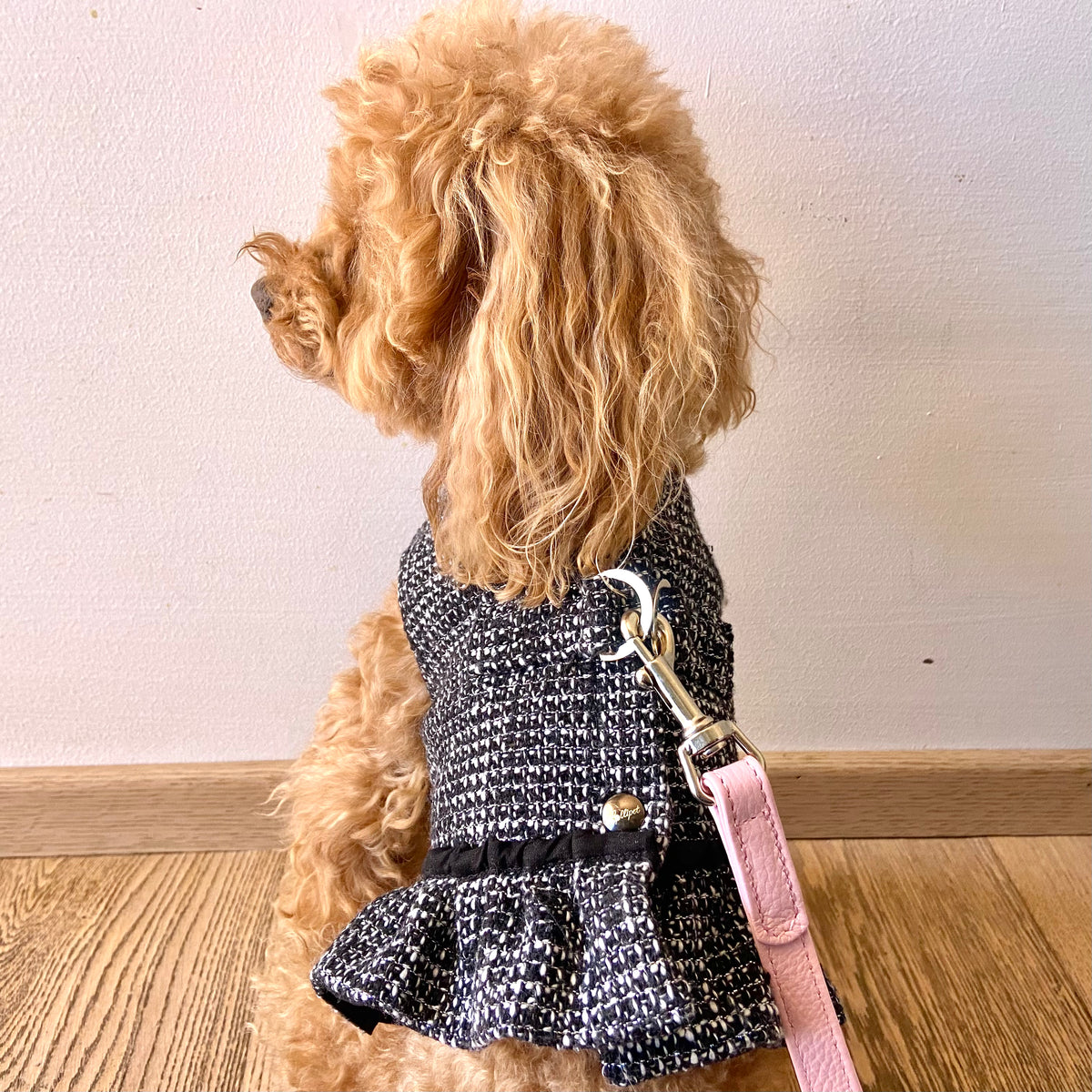 Pettorina C-hanel Nero con Balza | Eleganza e Comfort per il Tuo Barboncino