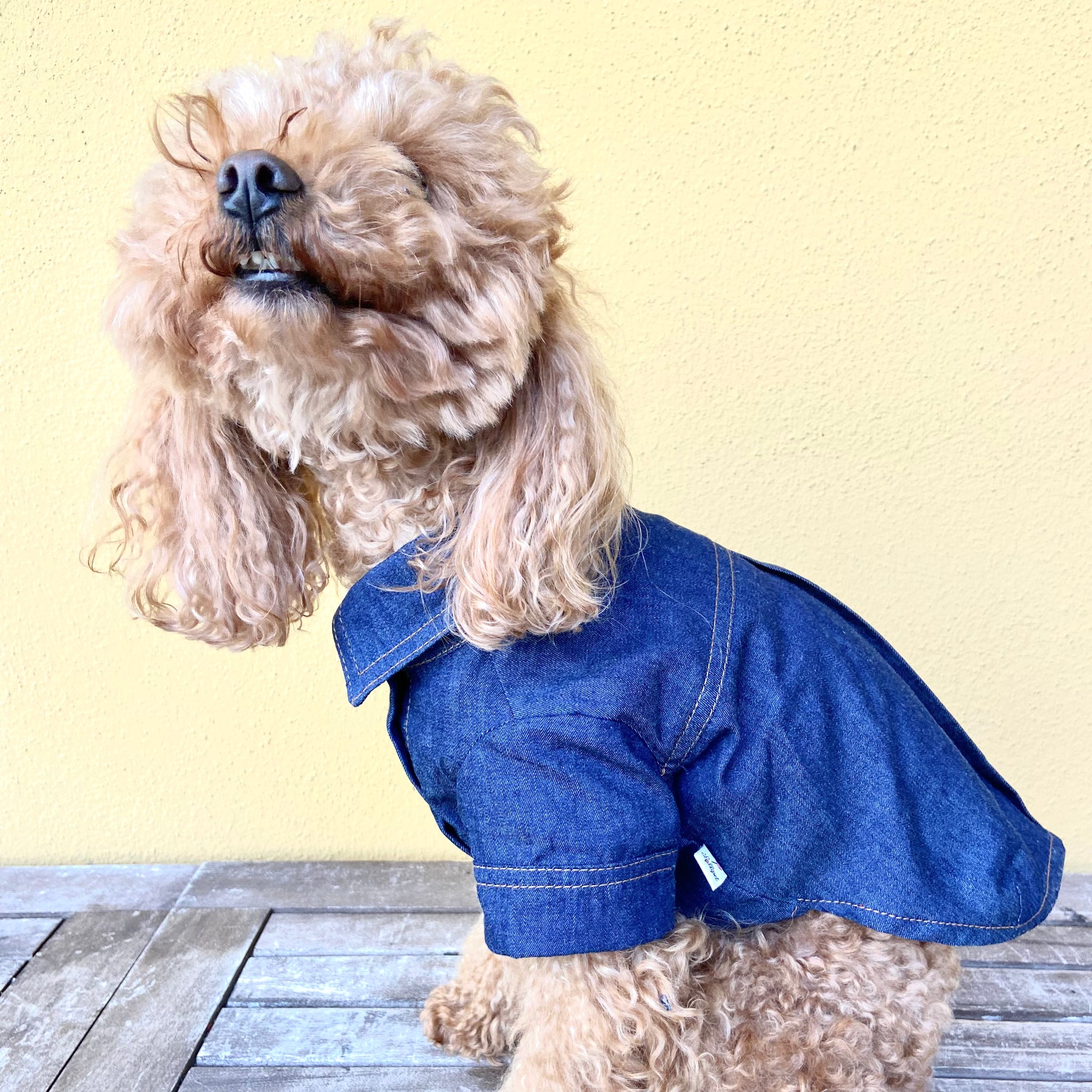Dog online denim shirt