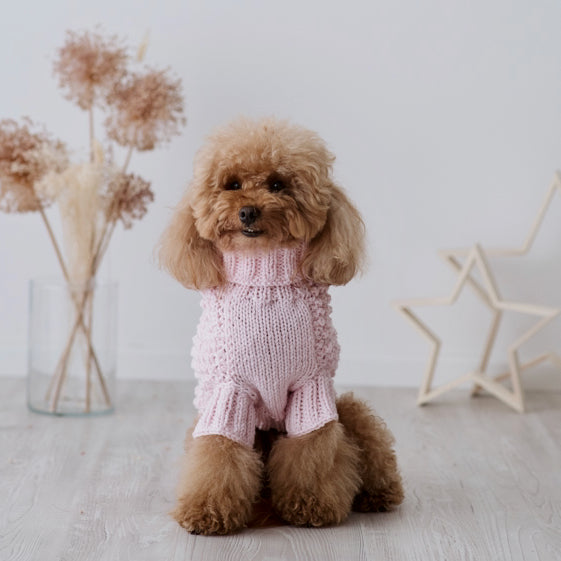 Maglioncino "Baby" Punto Nocciolina - Fatto a Mano in Lana Merino - Rosa, Celeste, Beige - per cani di piccola taglia