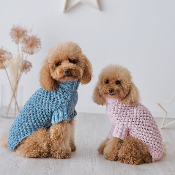 Maglioncino "Baby" Punto Nocciolina - Fatto a Mano in Lana Merino - Rosa, Celeste, Beige - per cani di piccola taglia