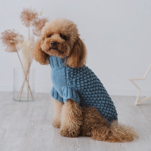 Maglioncino "Baby" Punto Nocciolina - Fatto a Mano in Lana Merino - Rosa, Celeste, Beige - per cani di piccola taglia