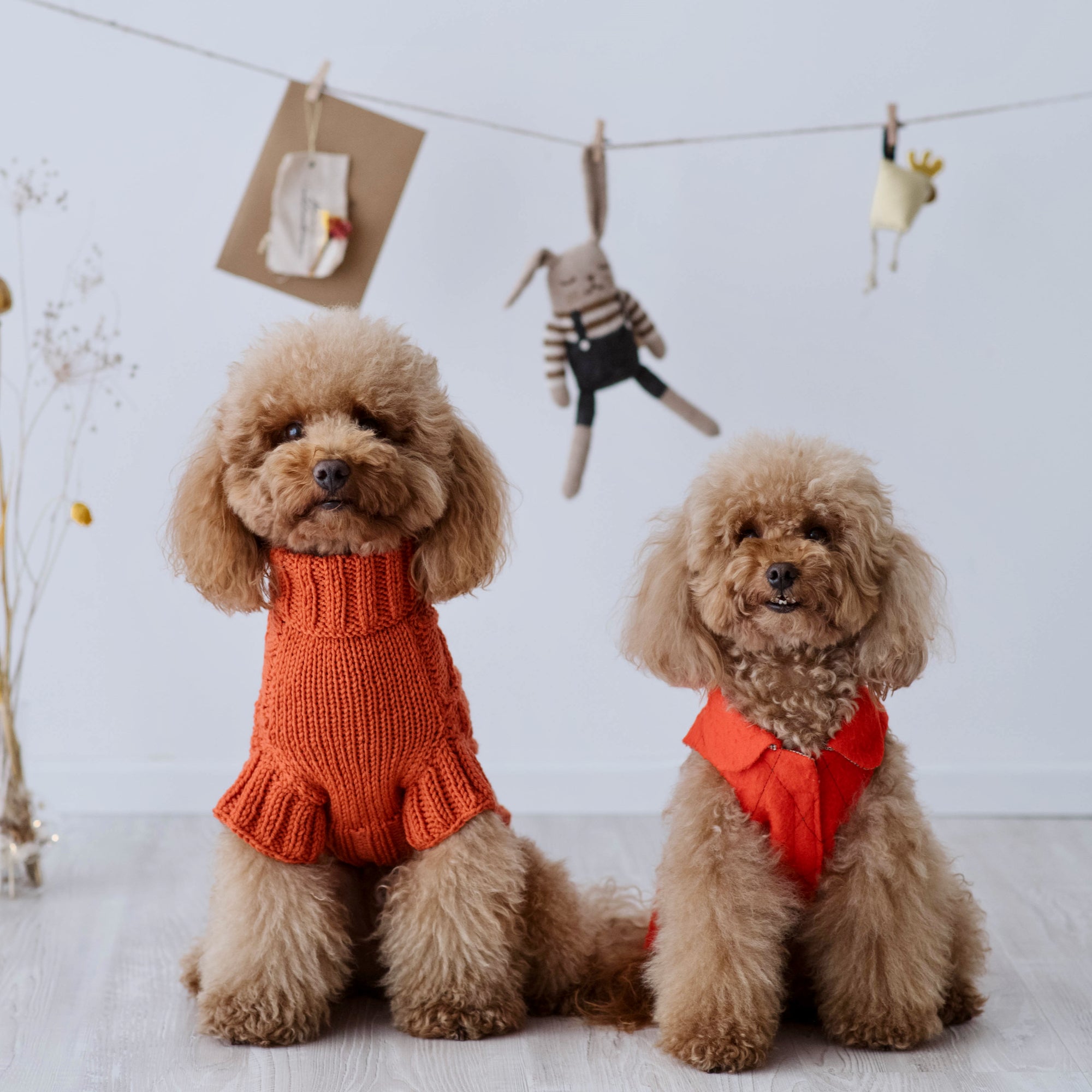 Maglioncino "Cozy Orange" Punto Rombi - fatto a mano in Lana Merino - per cani di piccola taglia
