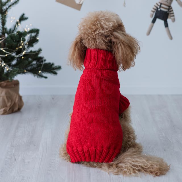Maglioncino "Dafne" in vari colori - Fatto a Mano in Lana Merino - per cani di piccola taglia