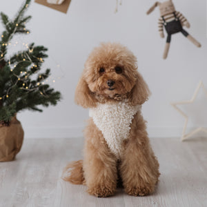 Teddy bear harness