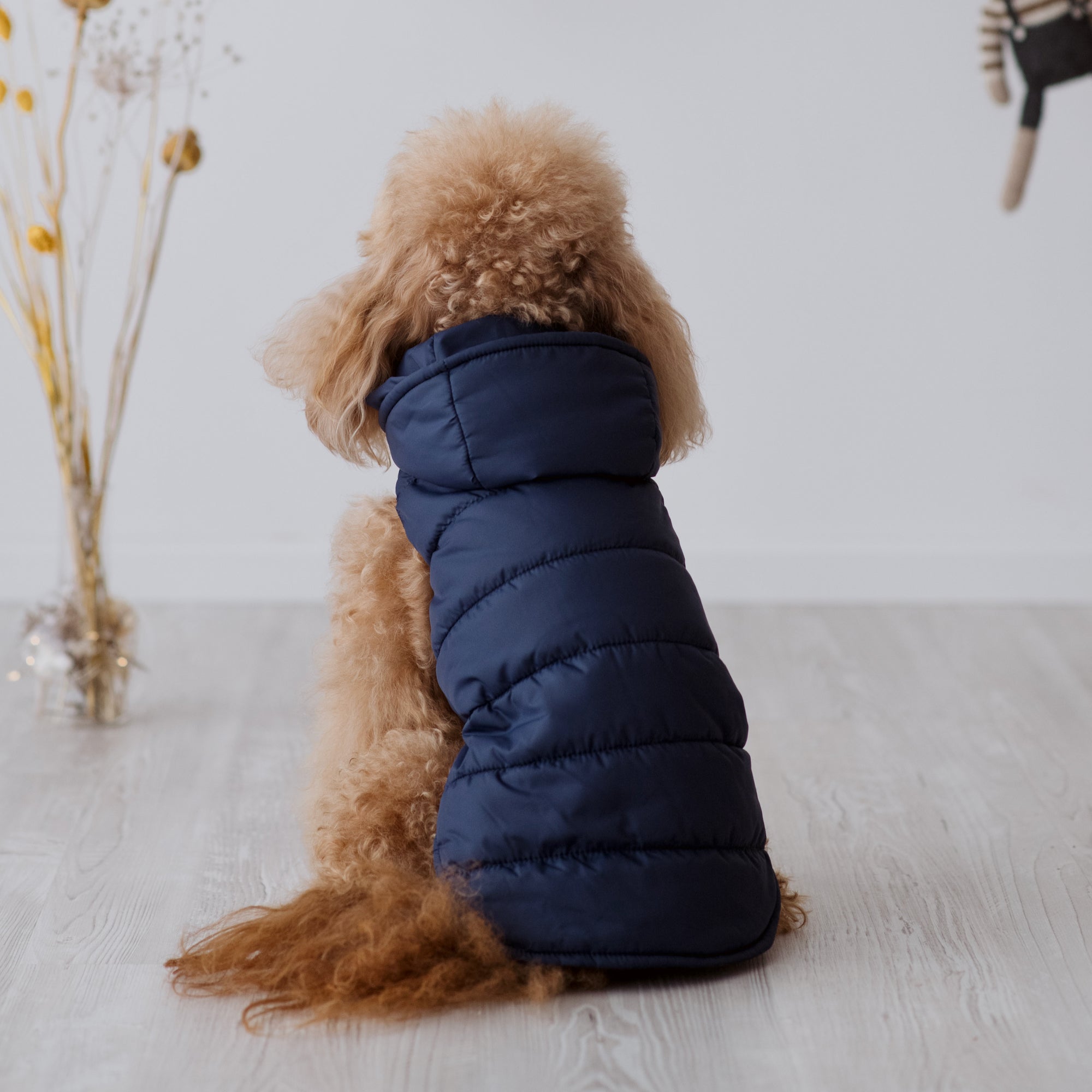 Piumino Classico per Barboncino e Cani di Taglia Media-Piccola | Eleganza e funzionalità