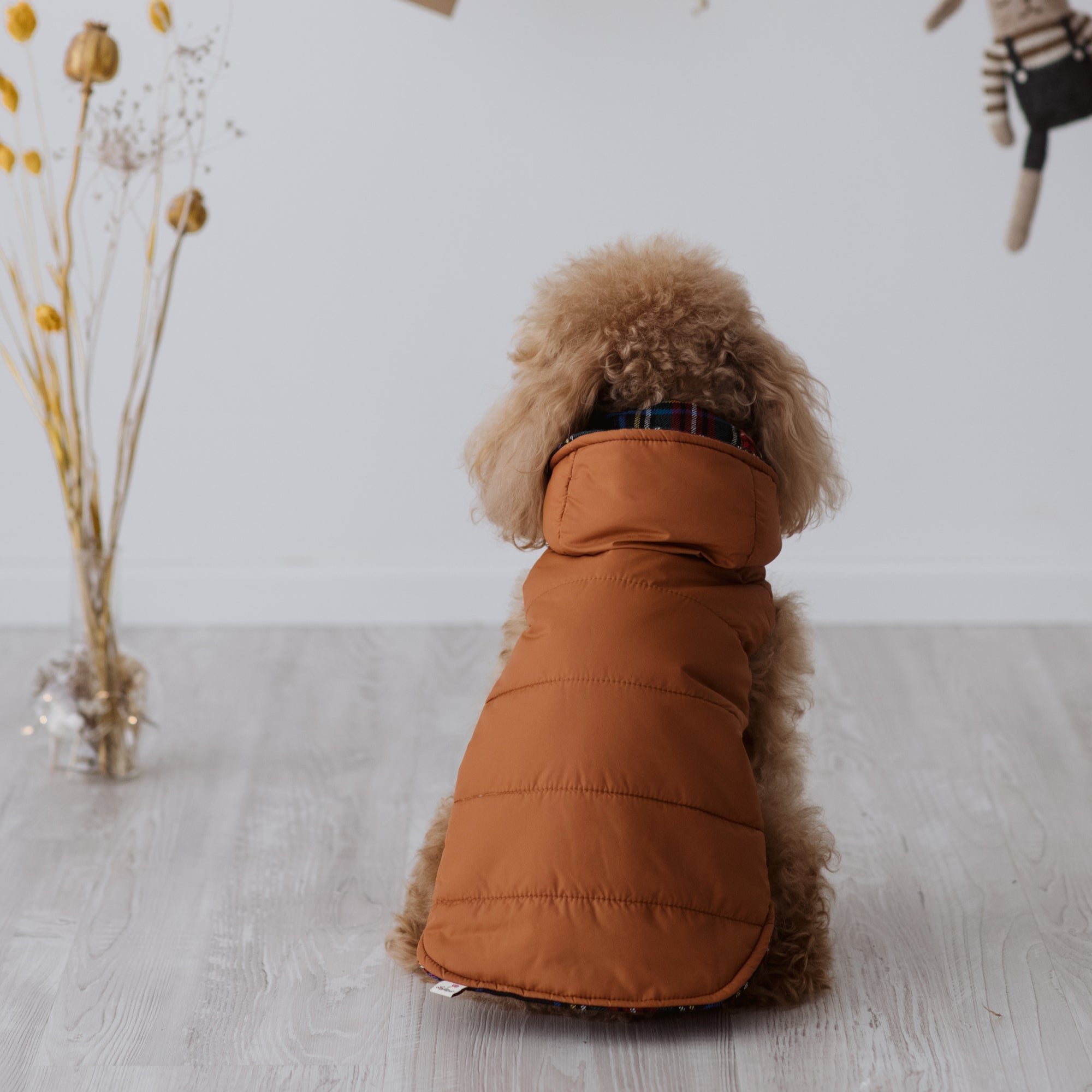 Piumino Classico per Barboncino e Cani di Taglia Media-Piccola | Eleganza e funzionalità