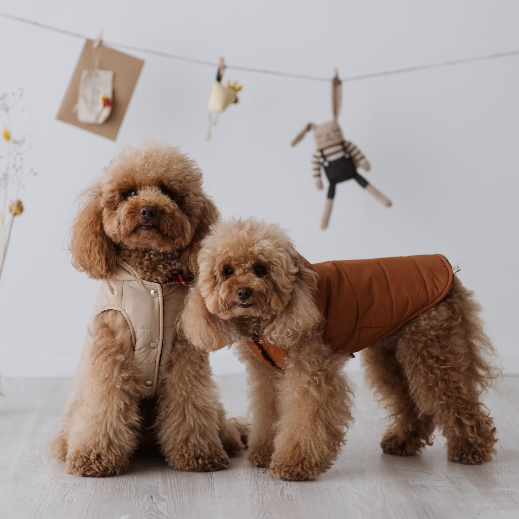 Piumino Classico per Barboncino e Cani di Taglia Media-Piccola | Eleganza e funzionalità