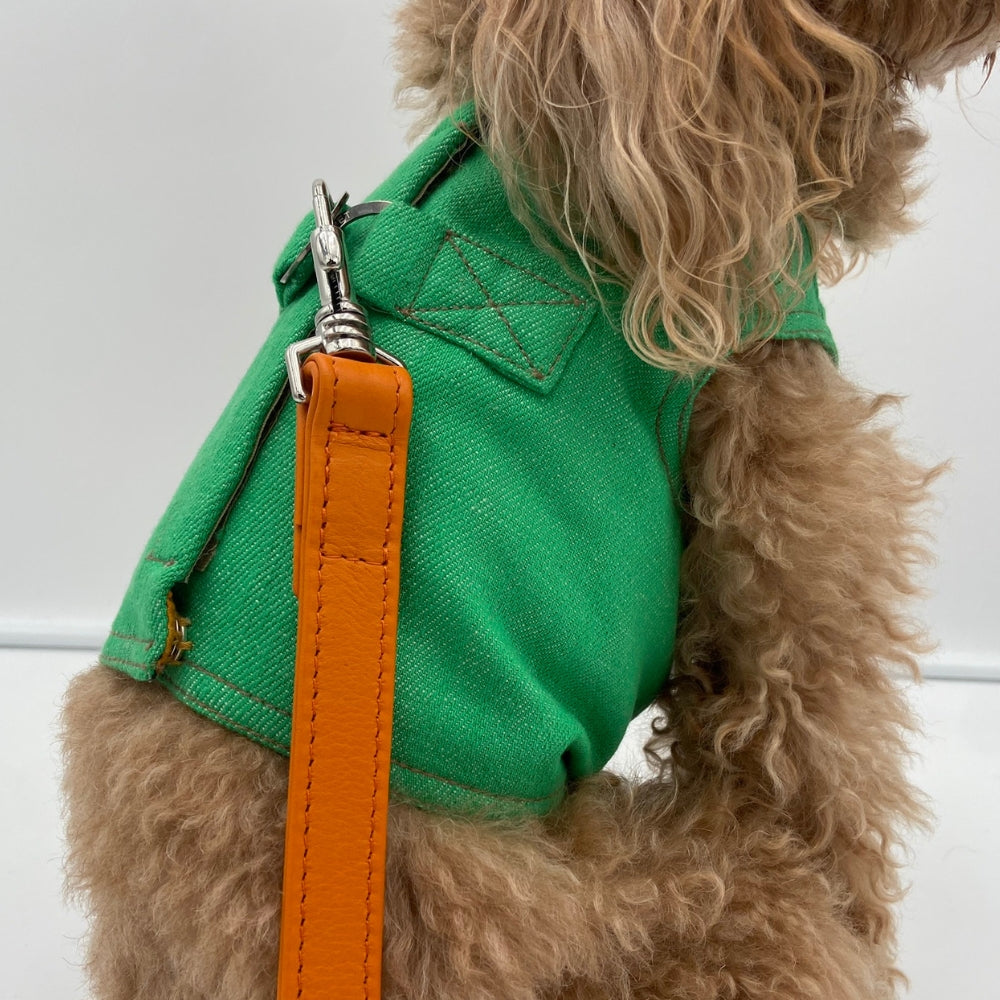 Pettorina Sartoriale in Jeans per Barboncini | Eleganza e Comfort per Cani di Piccola taglia