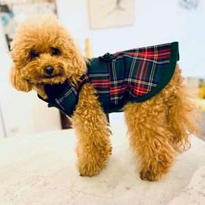 Scottish Coat