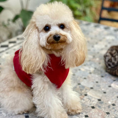 Faux fur harness - smooth