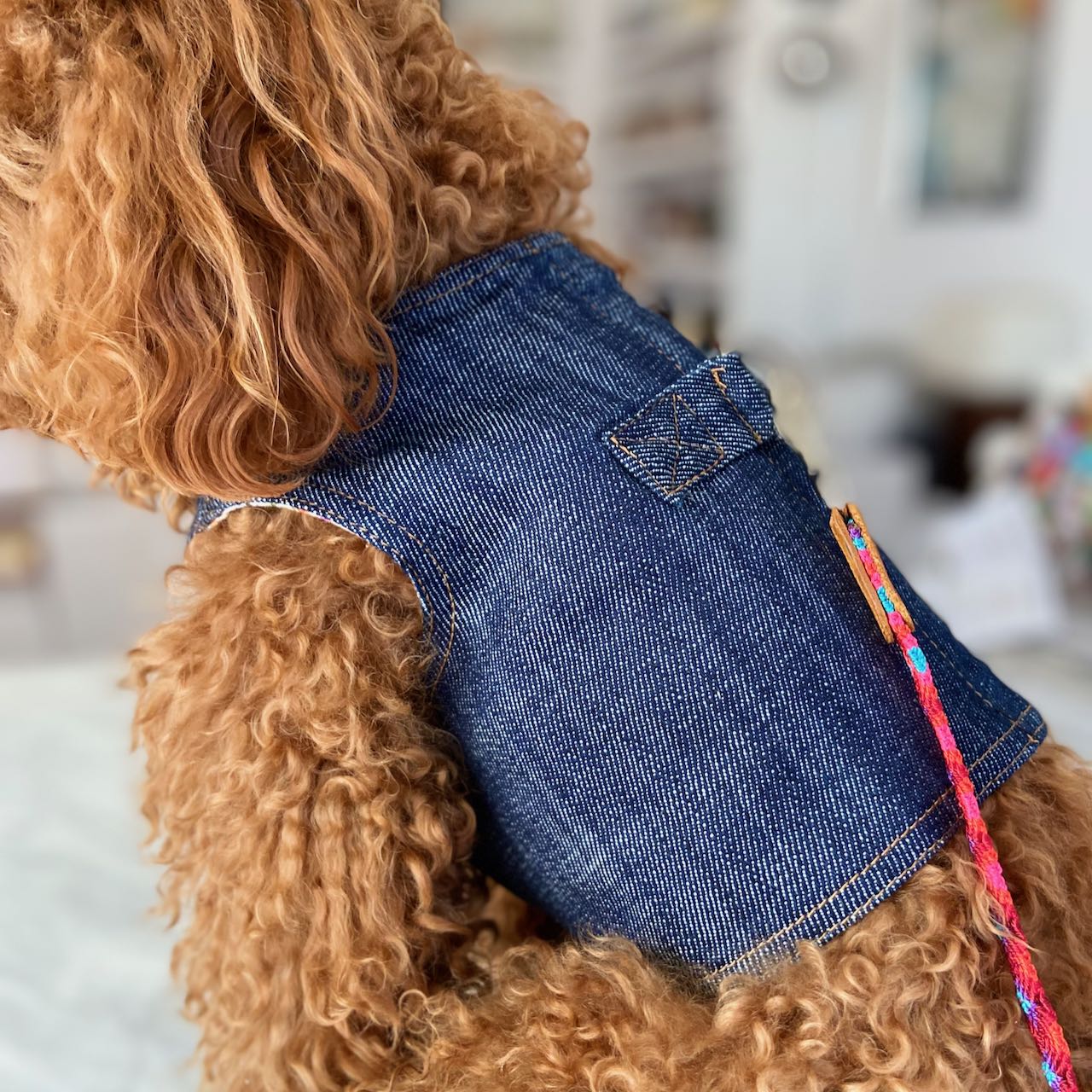 Denim bib