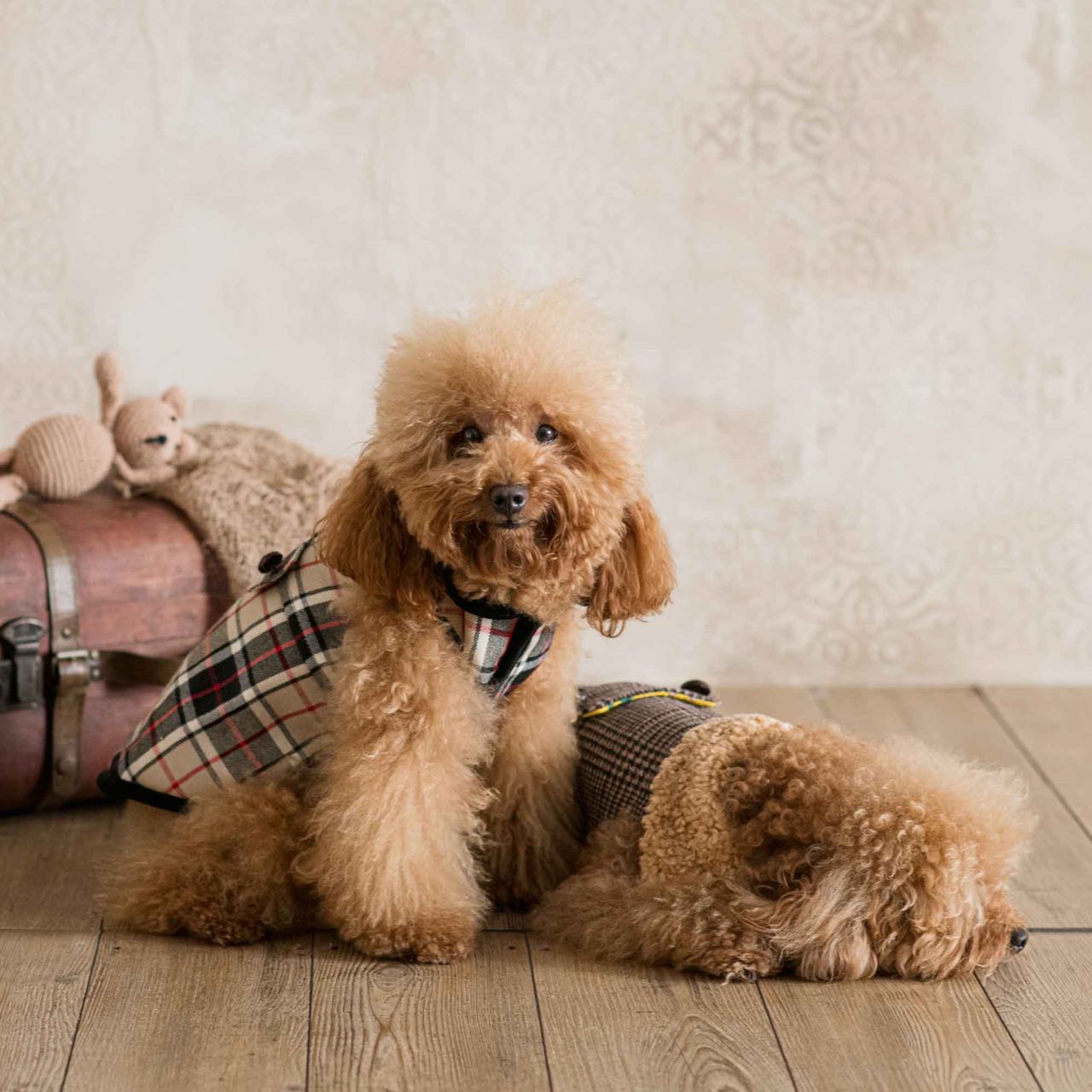 Tartan Coat