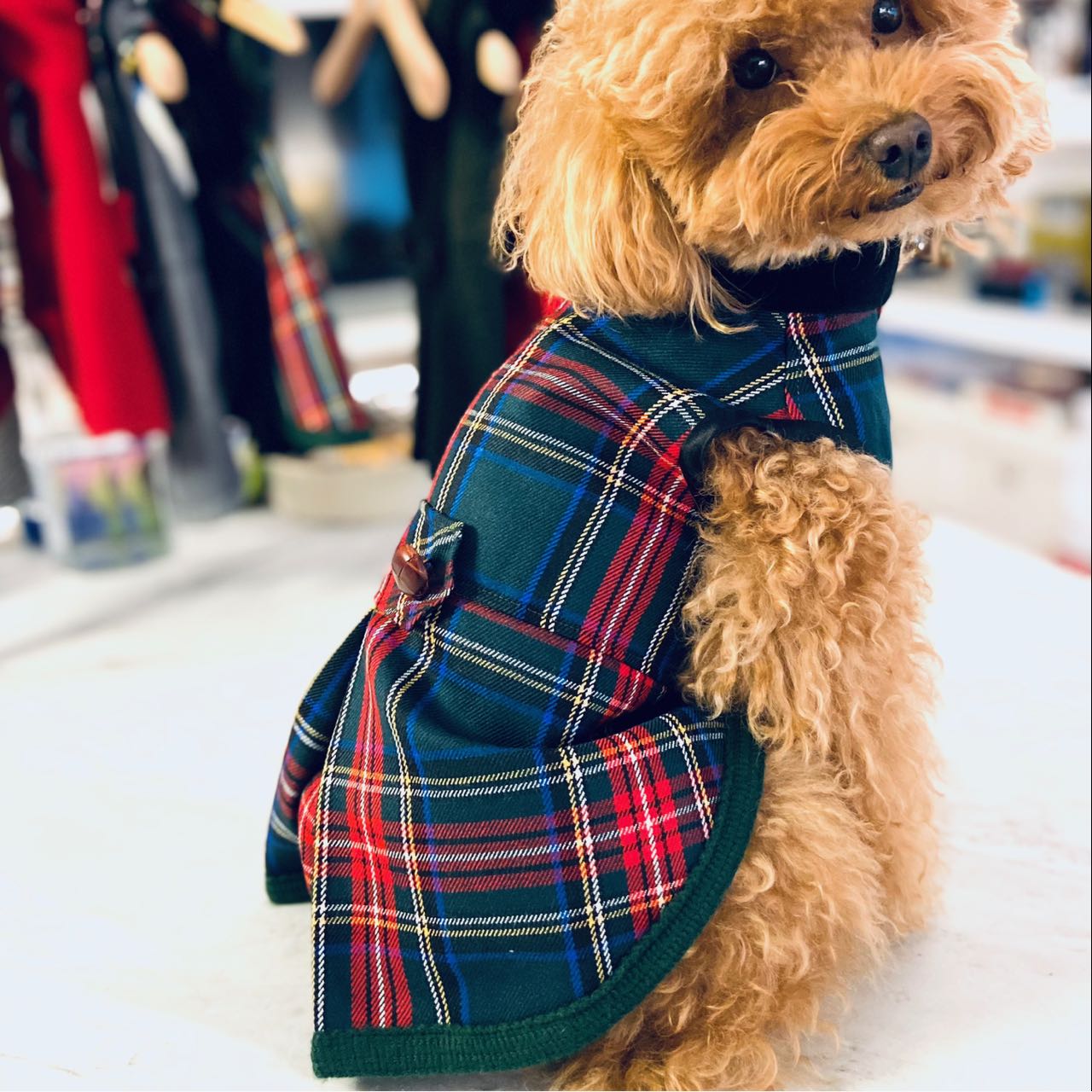 Scottish Coat