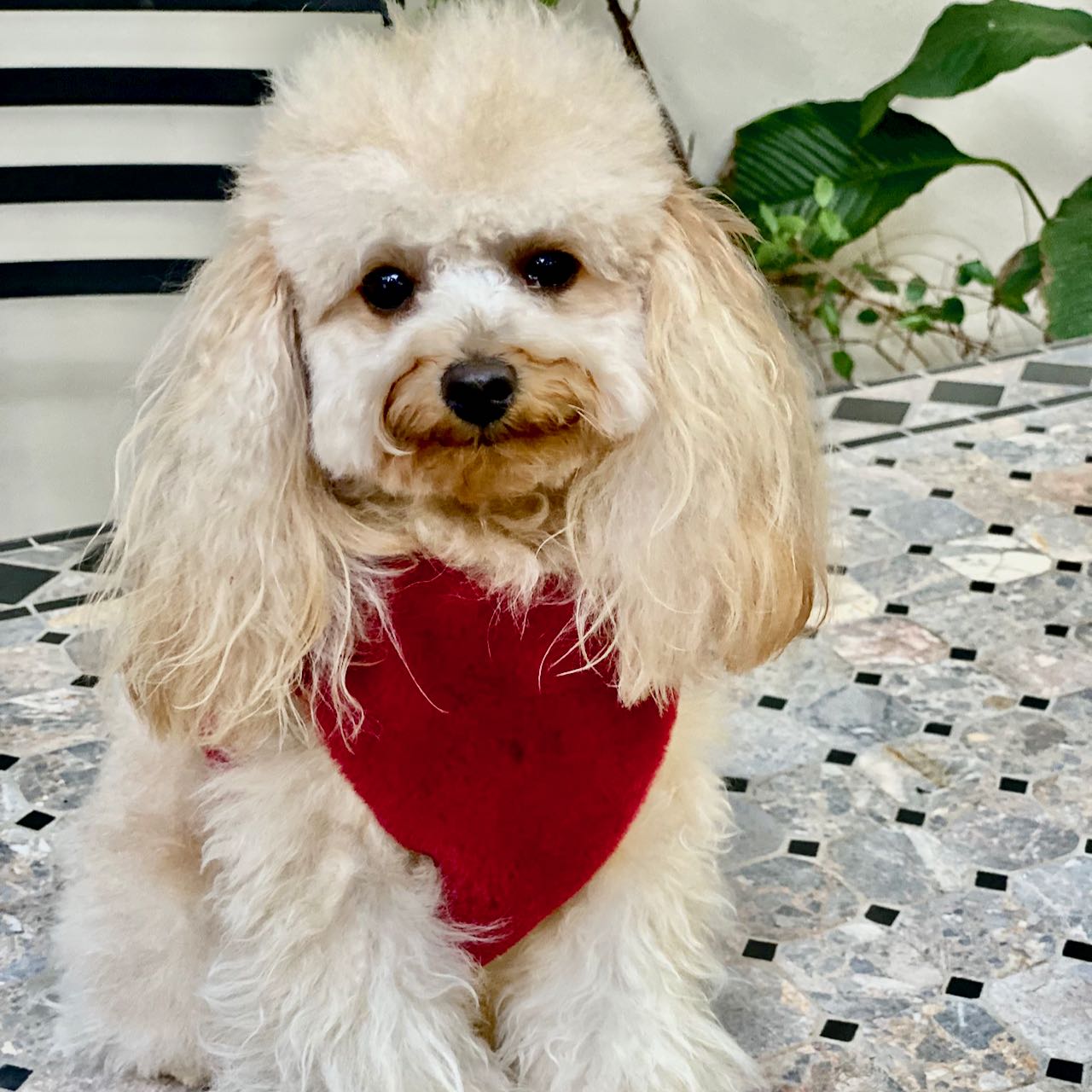 Faux fur harness - smooth