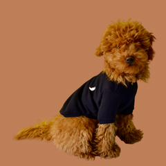 Tshirt blu