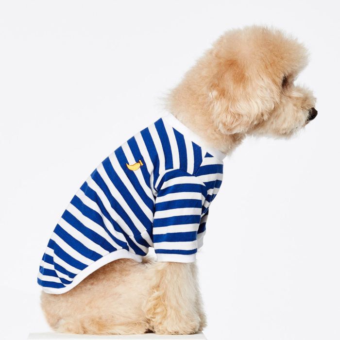 Striped T-shirt - white and blue