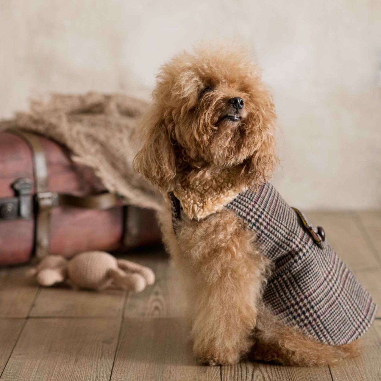 English Coat
