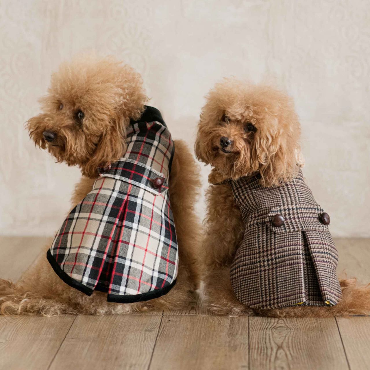 Cappotto English | Stile e Comfort per Barboncini