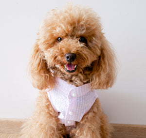 Capri shirt