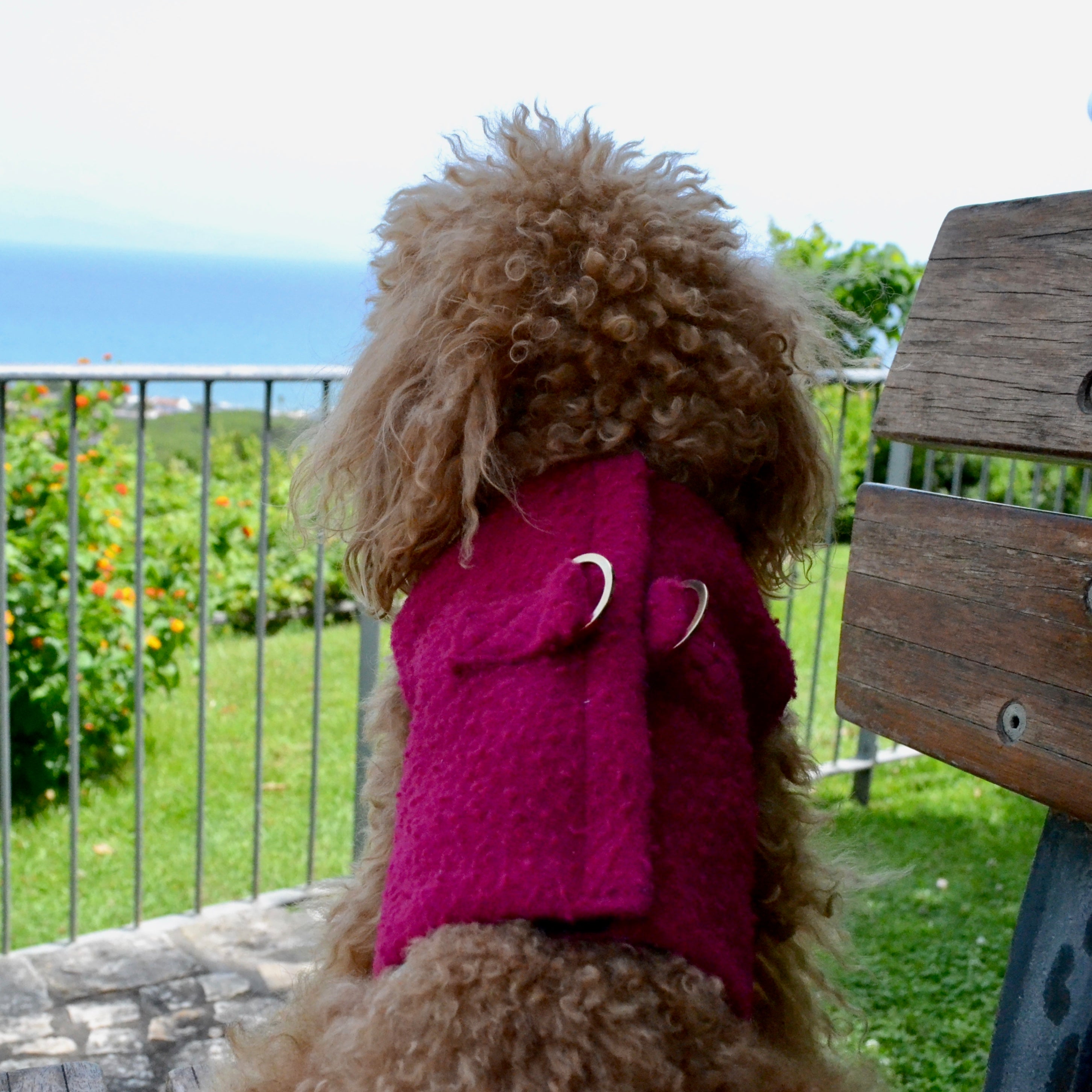Casentino wool harness