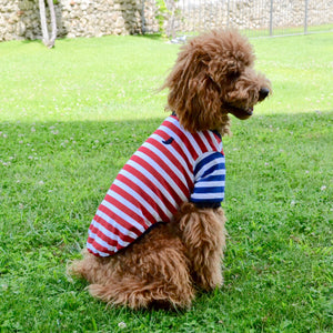 Striped T-shirt - red and blue