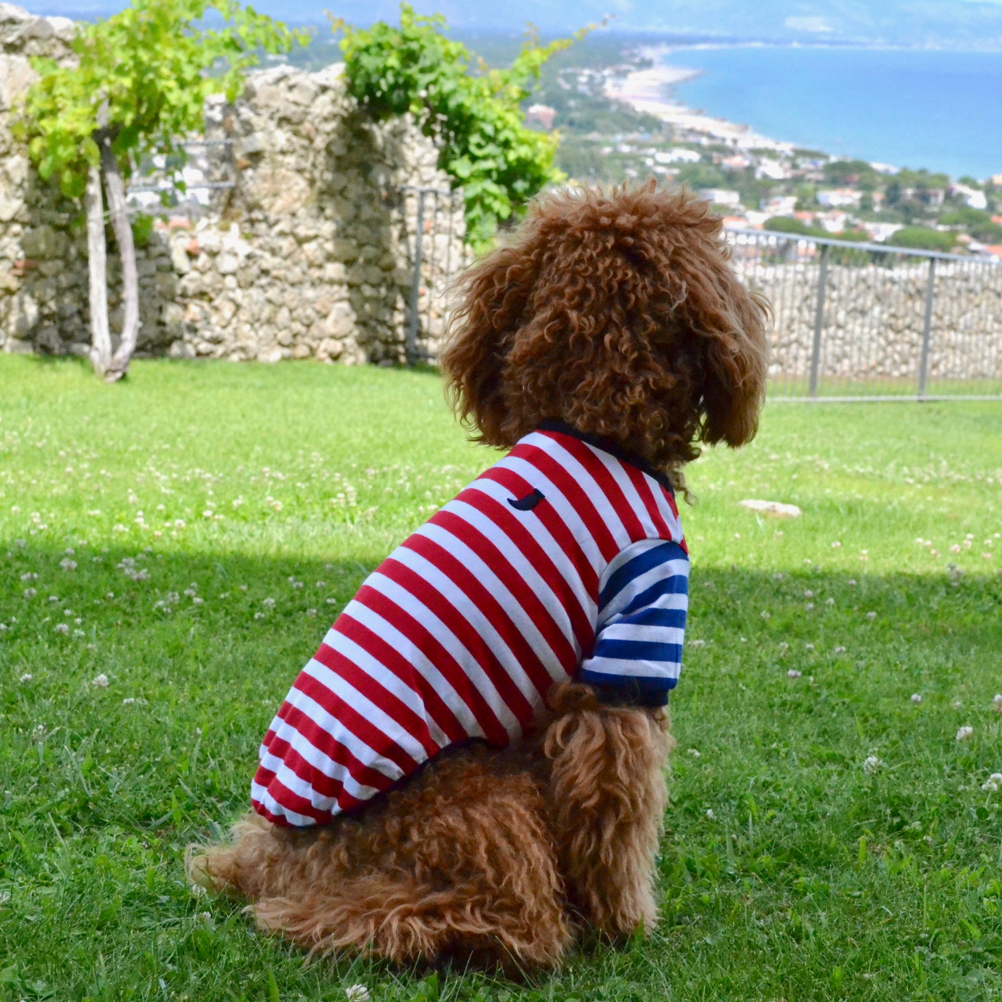 Striped T-shirt - red and blue