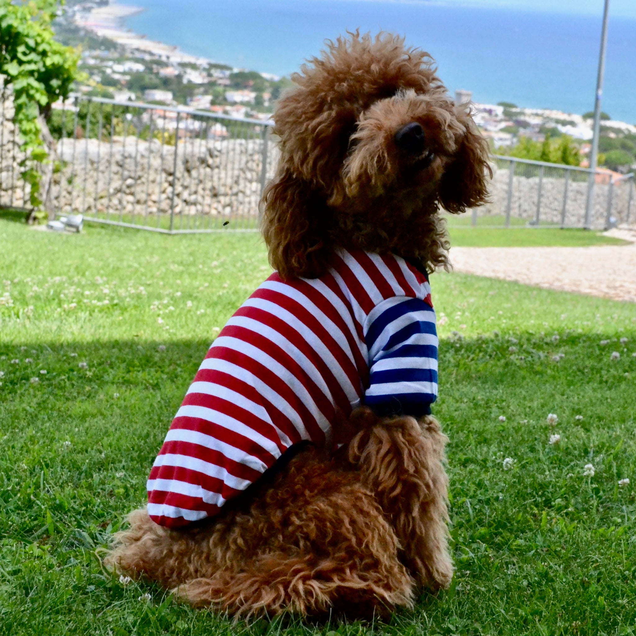 Striped T-shirt - red and blue