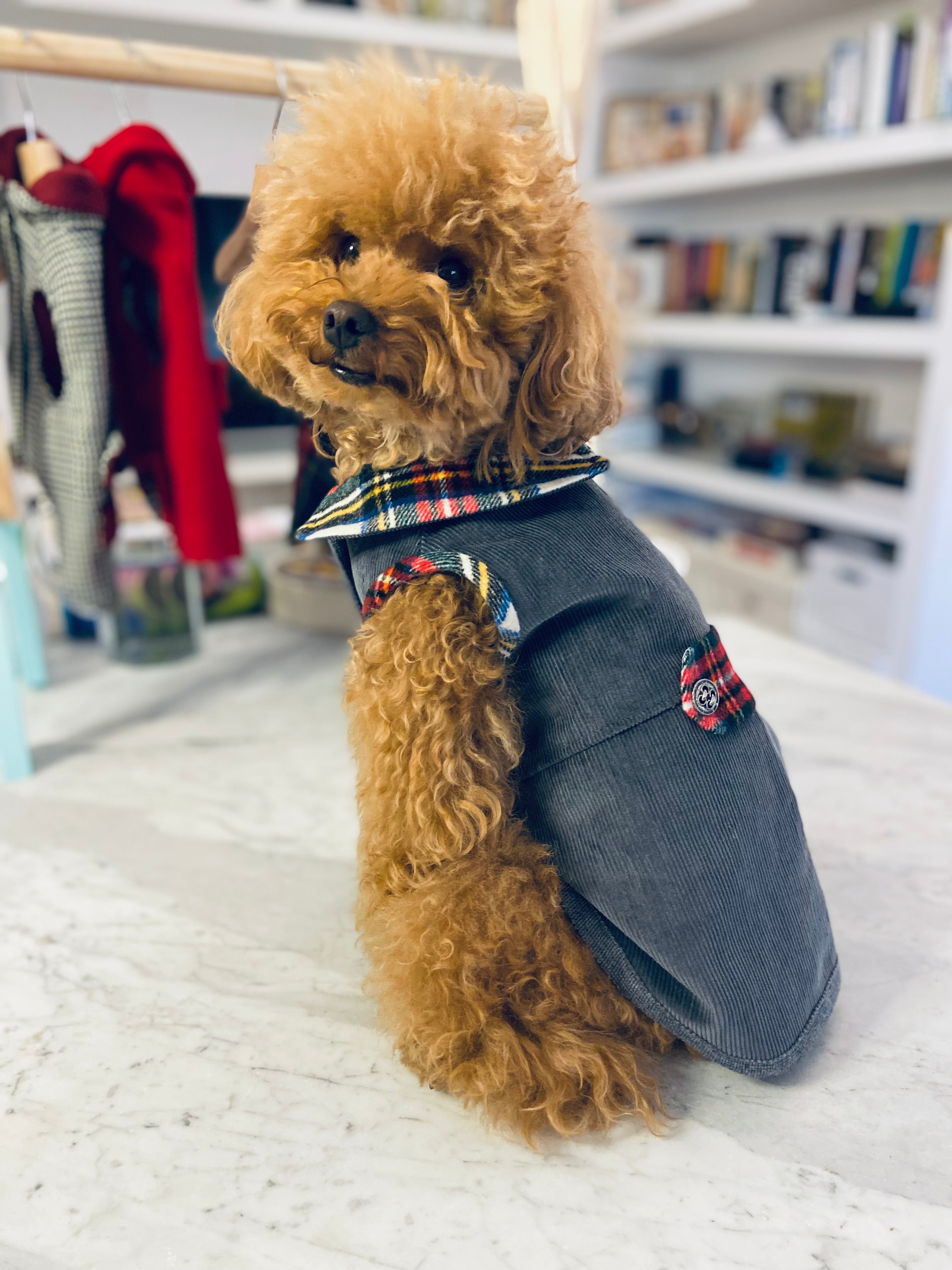 Highland Coat
