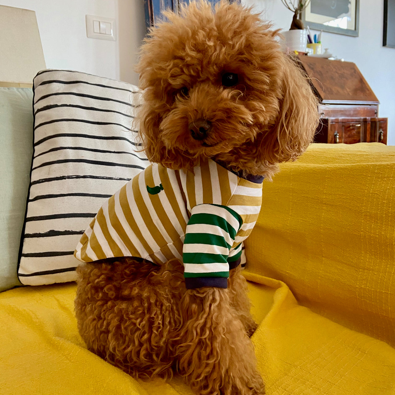 Striped T-shirt - gold, white and green