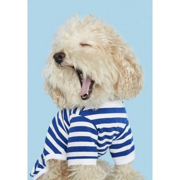 Striped T-shirt - white and blue