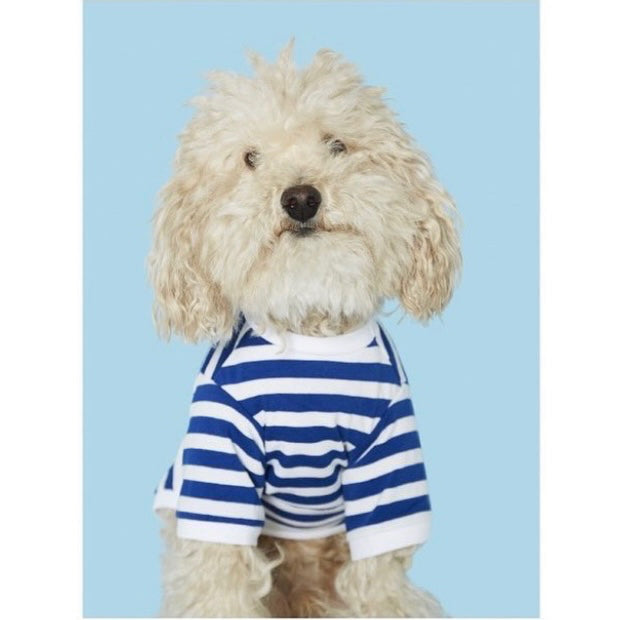 Striped T-shirt - white and blue