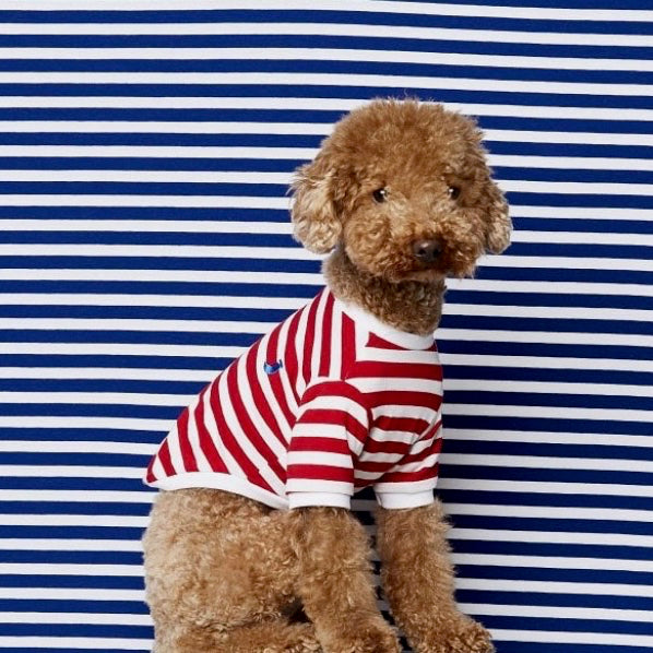 Tshirt a righe - bianca e rossa