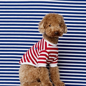 Striped T-shirt - white and red