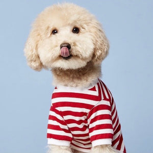 Striped T-shirt - white and red