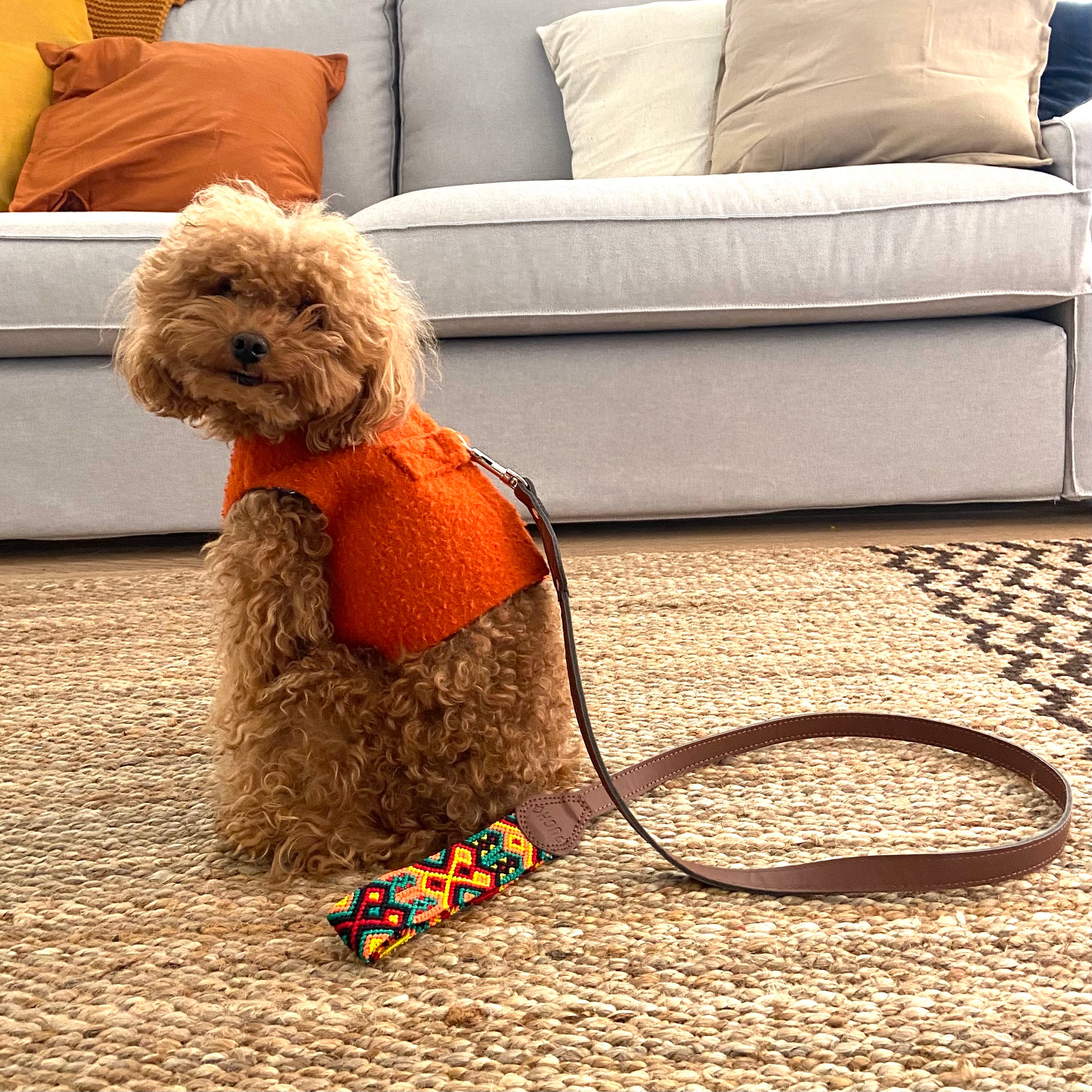 Casentino wool harness