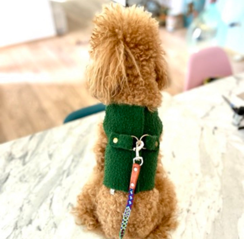Casentino wool harness