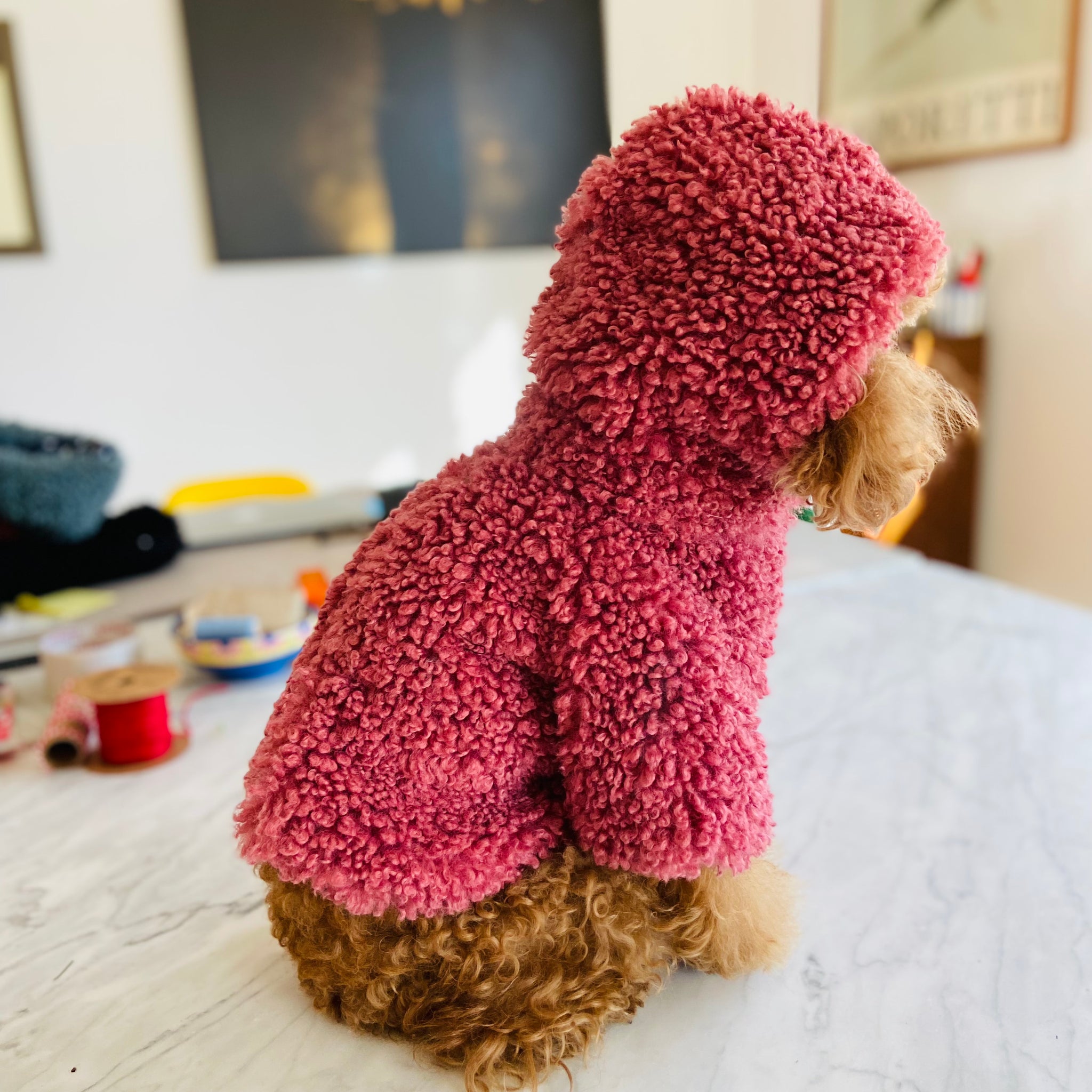 Teddy jacket with hood - Pink